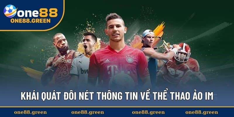 Khái quát đôi nét thông tin về thể thao ảo IM